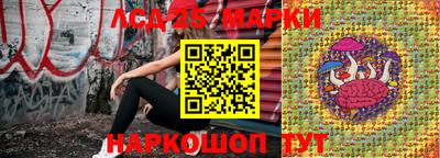 Альфа ПВП Анапа