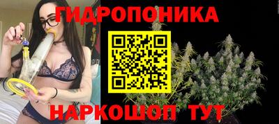 Альфа ПВП Анапа