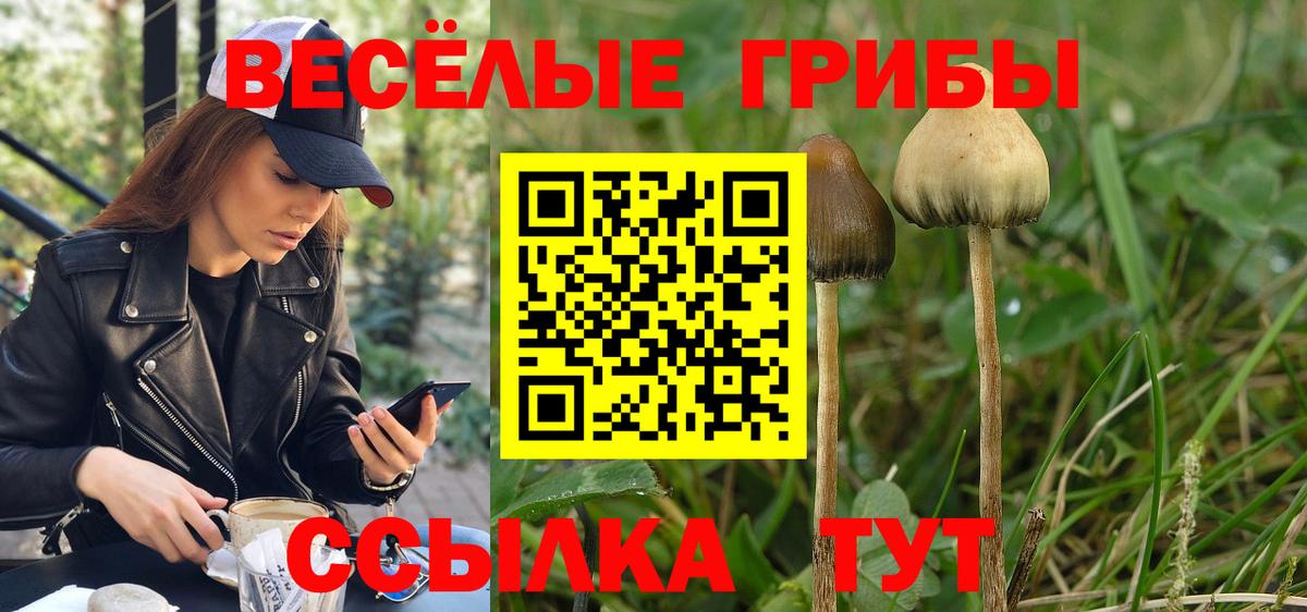 Галлюциногенные грибы мухоморы Кудрово